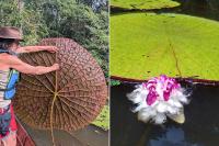 An American Tourist Posted an Instagram Selfie in Colombia. It Helped Scientists Discover a Whole New Species