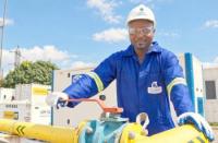 Cameroon Gas Operator Slashes Share Capital by 86% a Year After Takeover