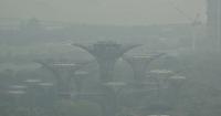 N95 masks will be distributed to vulnerable Singaporeans when PSI hits 201