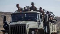 Media: Ethiopian Armed Forces strike Eritrean troops in northern Ethiopia