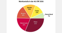 'Poland and Spain are increasingly shaping the bell pepper market'