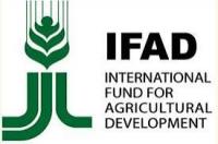 Bangladesh, IFAD deepen ties with $324m climate-resilient investment