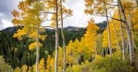 It’s happening, Utah: Fall temps are finally on the way