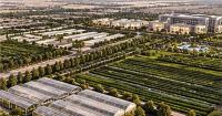 Agricultural city being developed in Abu Dhabi to aid UAE's food security efforts