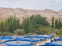 Xinjiang’s “Blue Miracle”
