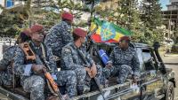 Ethiopian-Eritrean Fighting Raises Fears of Wider War as Egypt Builds Red Sea Alliance