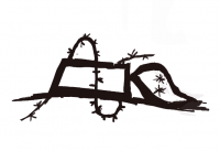 How the Omni-Cause Swallowed Amnesty International