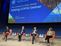 How Do We Make COP32 Deliver on Climate Goals?