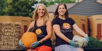 I left my Fortune 100 HR career to launch a pumpkin display business. Here's how my cofounder and I scaled it.