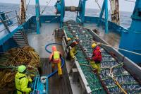 Fishing company behind McDonald’s Filet-o-Fish devastates Alaska salmon and Native communities