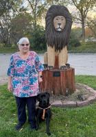 SERVICE CIRCUIT:Lions Clubs Vision Week of Service Oct. 8-18