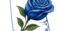 Delmarva Today 10-9-26 New Delaware Volunteer Group Aids Undocumented