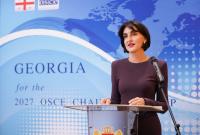 Botchorishvili Says ‘Number of’ EU Countries Support Georgia’s OSCE Bid Amid Reports of Objections