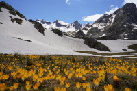 REC Albania joins IUCN to strengthen conservation partnerships