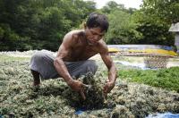 How Indonesian Migrant Remittances Help the Economy