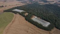 Brazil’s GTF invests in in fertile egg production and welfare