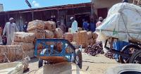Insurgents Took Over Their Lake. But They Stayed to Feed a Hungry Region