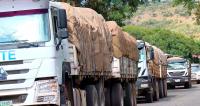 Humanitarian Aid Mobilized for Communities Affected by Climate-induced Impacts