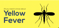 Health Minister confirms three yellow fever cases in Upper West  
