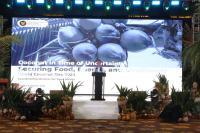 Indonesia to replant 9,000 hectares of coconut plantations in 2027