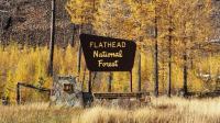 Flathead National Forest approves wildfire reduction project along U.S. Highway 2