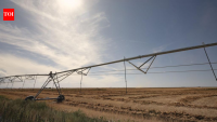 Idaho family has farmed 1,000 acres since 1950; after the state shut off its irrigation water...