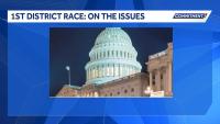 2026 New Hampshire 1st District race: On the issues