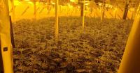 Two men charged after huge cannabis farm found on County Durham industrial estate