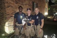 Michigan firefighters heard a cat crying underground, then used a shop vacuum to set it free
