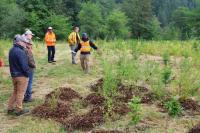 Interested in conservation? Join the Rural Forest Commission | King County