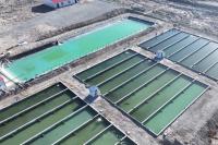 Fish farming in Xinjiang is being sold as proof that technology can overcome geography. The reality is more complicated