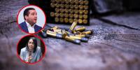 Deputies demand investigation into possible complicity in the diversion of Dominican ammunition to a Haitian gang