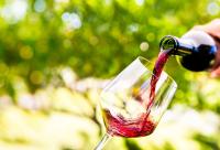 French wine volume could be lowest in a century 