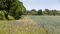 NFU seeks farmers’ views on how to make SFI27 fairer