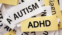 Review Urges Support for ADHD and Autism Before Diagnosis