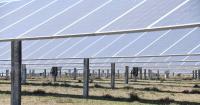 Contractor fined after worker exposed to toxic gas on solar farm