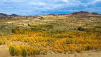 China picks up pace on Great Green Wall
