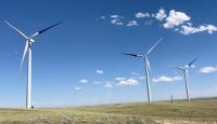 Painted wind turbines can dramatically reduce bird deaths, study finds
