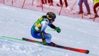 Italian skiers Brignone, Goggia to miss start of World Cup season