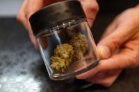 Question 8: Mass. voters weigh measure that would topple recreational marijuana industry