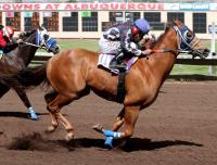State’s best under spotlight this weekend at Albuquerque Downs