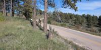 Rapid City lands $7.1 million grant for Skyline Drive improvements