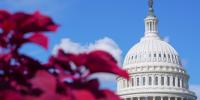 North Carolina Congressional candidates, incumbents living outside their district