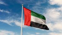 UAE strongly condemns Houthi Group’s attacks on King Khalid International Airport, Saudia aircraft