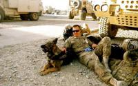 A new generation of authors tells personal stories of the Iraq, Afghanistan wars