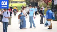 Election season at universities across Australia sees slogans, stunts