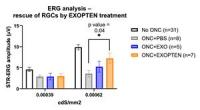 NurExone Advances Optic Nerve Injury Program Toward Larger-Animal Study, Following Positive Preclinical Results