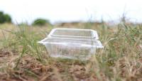 Can bacteria and larvae break down plastic? The research is now facing scathing criticism