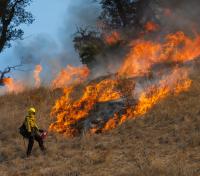 Cal Fire conducts 48-acre prescribed burn at Swanton Pacific Ranch to reduce wildfire risk