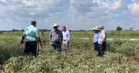 Texas lawmaker threatens legislative action against Kinder Morgan and PUMPCO over pipeline subsidence